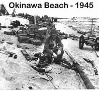 Image result for Okinawa Beaches Photos