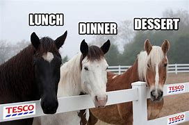 Image result for Horse Meat Meme