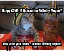Image result for Quarantine Birthday Memes