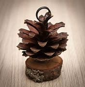 Image result for Pinecone Place Card Holders