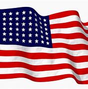 Image result for USA Flag Print