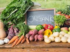 Image result for Types of Farm Produce