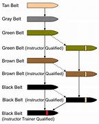 Image result for Levels of Martial Arts Belts