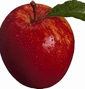 Image result for Top Red Apple's