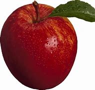 Image result for Tim Cook Apple PNG