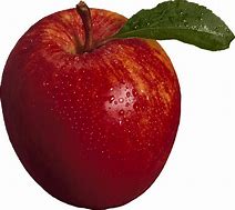 Image result for Apple Fruit Photography PNG