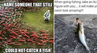 Image result for Fish On Land Meme