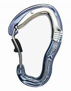 Image result for Double-Gated Carabiner
