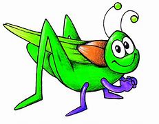 Image result for Cricket Animal Cartoon BW