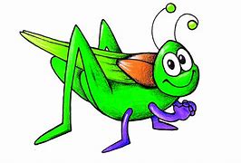 Image result for Cricket Animal Drawing