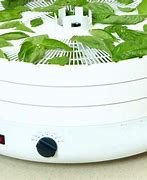 Image result for Dehydrator Herbsnow