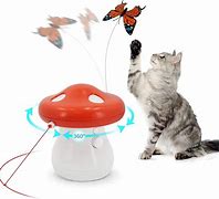 Image result for Interactive Electronic Cat Toys