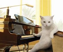 Image result for Play the Piano Funny