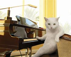 Image result for Piano Piece for Meme Songs
