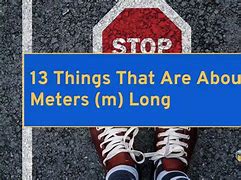 Image result for 5 Meters Long