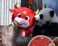 Image result for Panda Sitting Chinese Culture