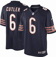 Image result for Jay Cutler Jersey
