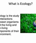 Image result for ecology
