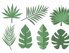 Image result for Tropical Palm Leaf SVG