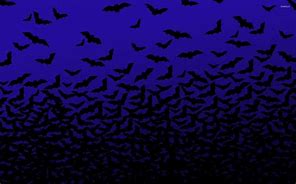 Image result for Bats for 340