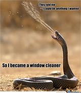 Image result for Snake Memes Clean