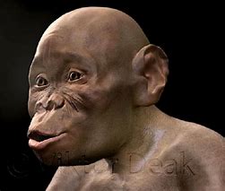 Image result for anoiapithecus