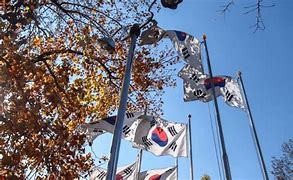 Image result for South Korea National Flag