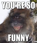 Image result for Monkey to Monkey Communication Meme