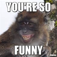 Image result for funny monkeys party memes