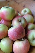Image result for Great Shoals Spiced Apple