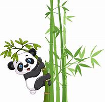 Image result for Panda Eating Bamboo PNG
