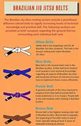 Image result for Brazilian Jiu-Jitsu Belt System