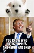 Image result for Puppies Meme