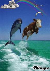 Image result for Flying Cow Meme