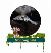 Image result for Masker Moncong Babi