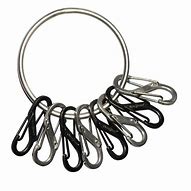 Image result for Heavy Duty Carabiner Ring