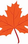 Image result for Toronto Maple Leafs Flag