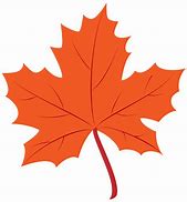 Image result for Blue Maple Leaf Clip Art