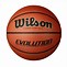 Image result for Basketball Evolution Ball