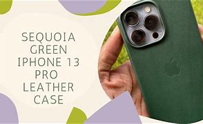 Image result for iPhone 13 Pro Leather Case Green