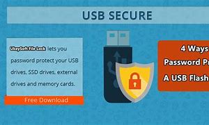 Image result for Password Protected USB