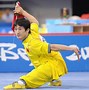 Image result for Hard Style Kung Fu