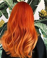 Image result for Celtic Copper Hair Color