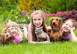 Image result for Kindness towards Animals