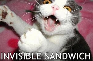 Image result for Invisible Cat