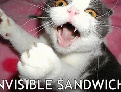 Image result for Invisible Cat