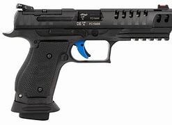 Image result for Walther Arms