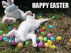 Image result for Funny Memes with Kittens for Easter