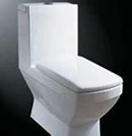 Image result for China Toilet