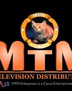 Image result for MTM Television Distribution